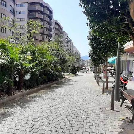 Araucaria * Comarca de Vigo
