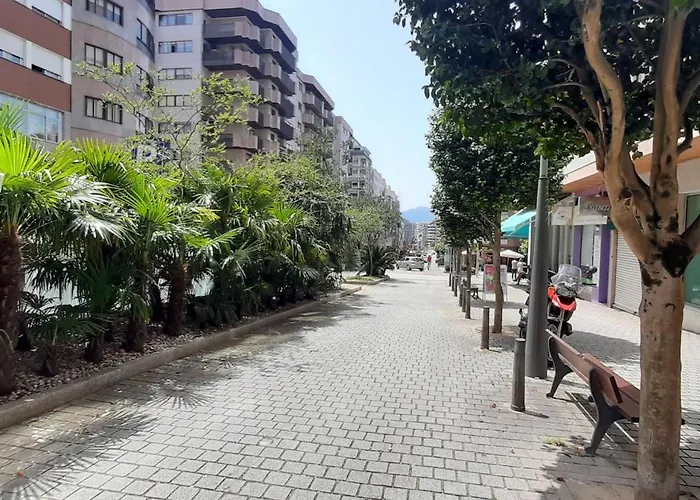 Araucaria * Comarca de Vigo